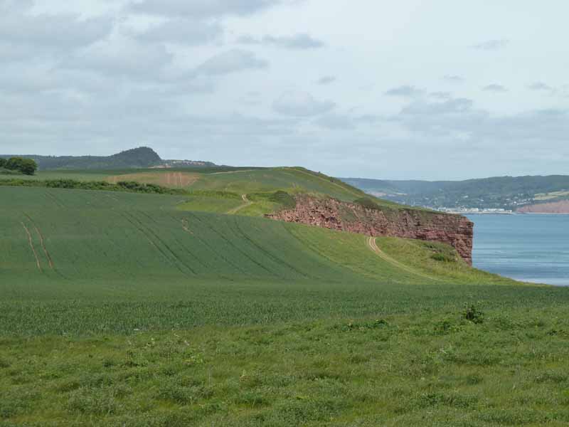 Clifftop Walk